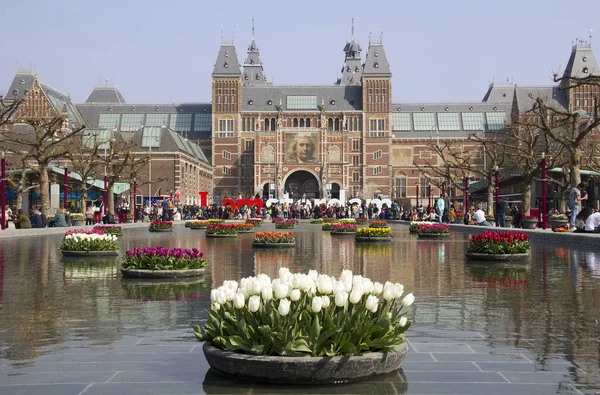 Blommor på Rijksmuseum i Amsterdam, Holland — Stockfoto