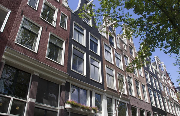 Domy Amsterdam — Zdjęcie stockowe