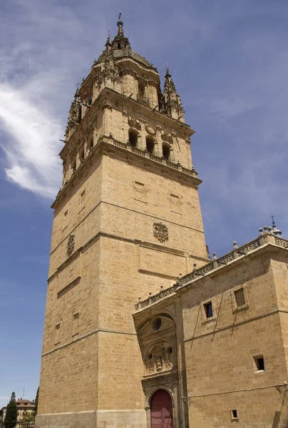 Tornet i katedralen i Salamanca, Spanien — Stockfoto