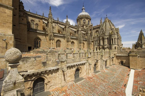 Catedral Velha de Salamanca, Espanha — Fotografia de Stock