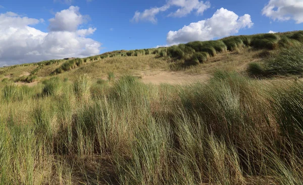 Sandlandskap og himmel – stockfoto