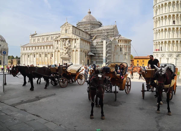 Cabanes pour chevaux et calèches à Pise, Italie — Photo