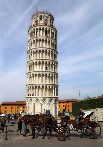 Cheval et calèche à Pise, Italie — Photo