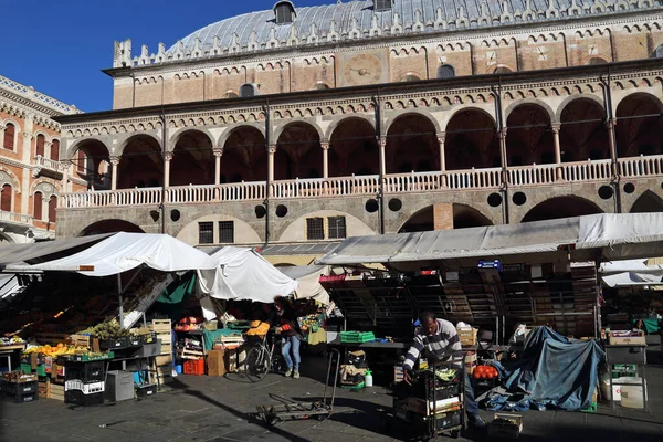 Történelmi piacépítés Padova, Olaszország — Stock Fotó