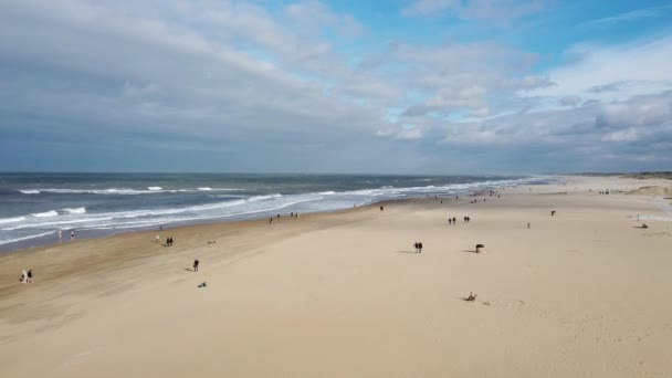 Plaża Morze Oraz Gigantyczny Diabelski Młyn Hadze Holandia Października 2019 — Wideo stockowe