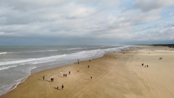 Personnes Marchant Sur Plage Mer Nord Haye Pays Bas Octobre — Video
