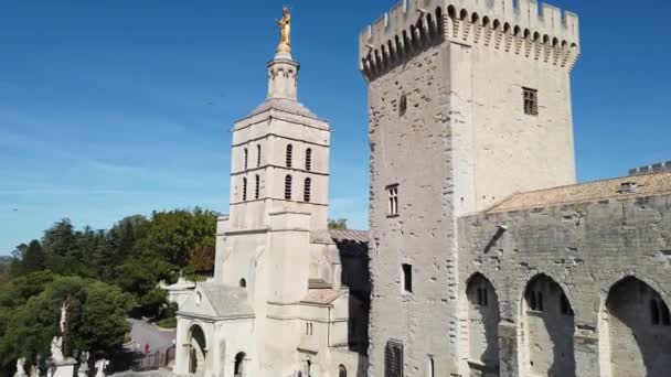 Gente Camina Cerca Del Palacio Los Papas Aviñón Francia Septiembre — Vídeos de Stock