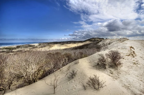 Dunes Tenger Kék Felhőkkel Északi Tenger Partján Hollandiában — Stock Fotó