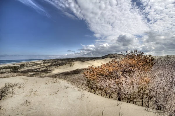 Duinen Blauwe Lucht Met Wolken Aan Noordzeekust Nederland — Stockfoto