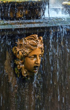 Aslan cascade adlı Peterhof
