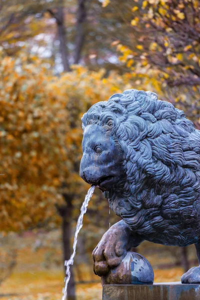 Éléments de la cascade du Lion à Peterhof — Photo