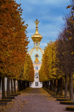 Grand Peterhof Sarayı 