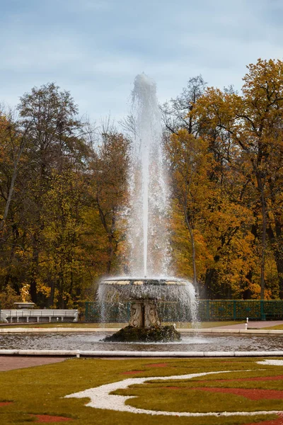 A fonte "Tigela" no parque inferior em Peterhof — Fotografia de Stock