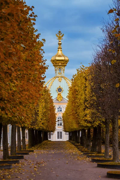 The Grand Peterhof Palace — Stock Photo, Image