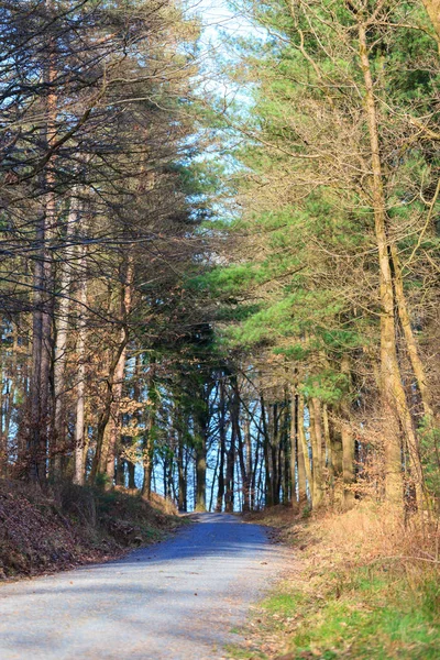 Odenwald im Frühling — Stockfoto