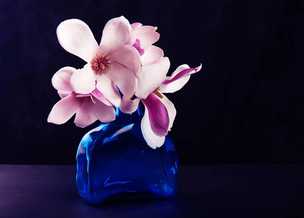 Magnolia in fiore su sfondo scuro — Foto Stock