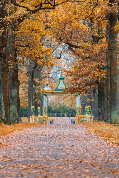 El puente chino menor en el parque Alexander . —  Fotos de Stock