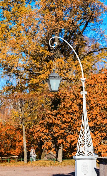 Podzimní krajina v Pavlovsk — Stock fotografie