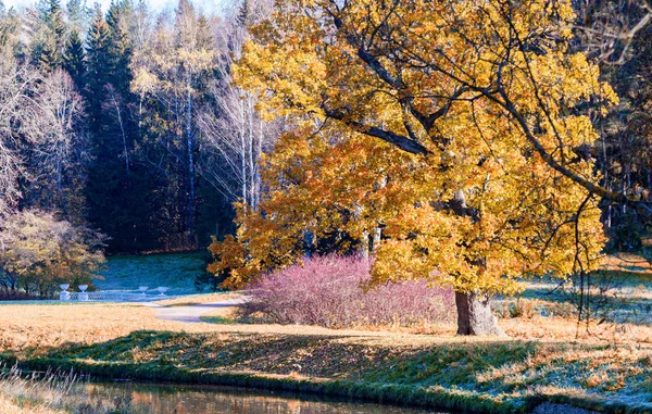 Φθινοπωρινό τοπίο στην Pavlovsk — Φωτογραφία Αρχείου