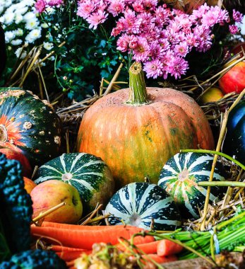 Balkabaklarıyla sonbahar düzenlemesi