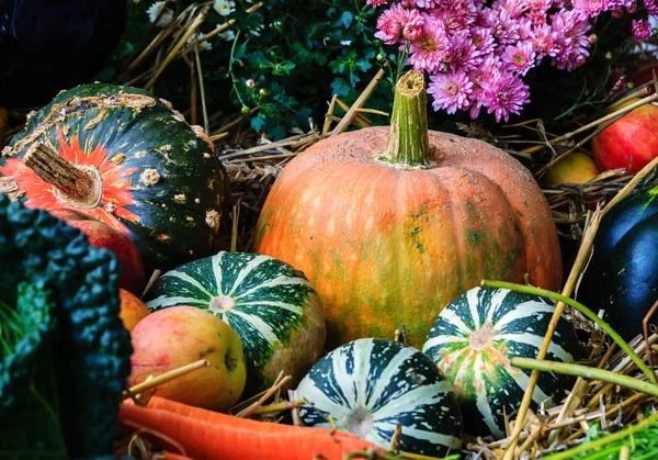 Herfstarrangement met pompoenen — Stockfoto