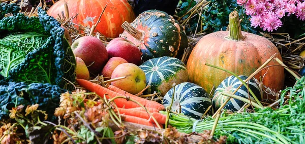 Herbstliches Arrangement mit Kürbissen — Stockfoto