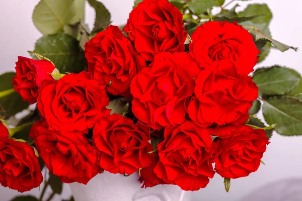 A piros rózsák — Stock Fotó