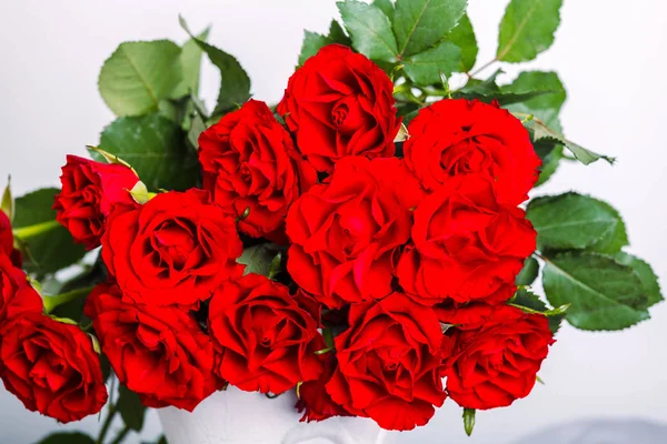 A piros rózsák — Stock Fotó