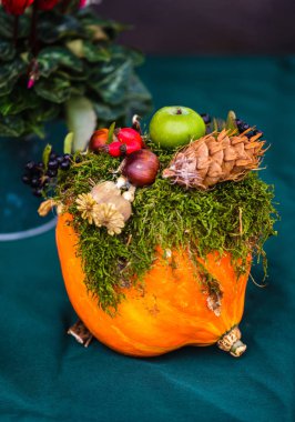 Sonbahar bitki dekorasyon