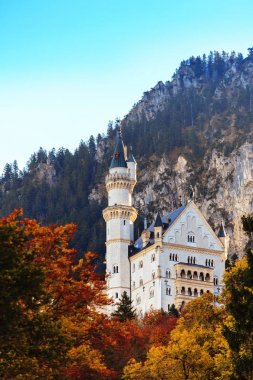Sonbaharda Neuschwanstein Şatosu 