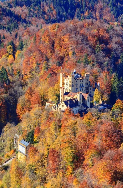 Castillo de Hohenschwangau en otoño — Foto de Stock