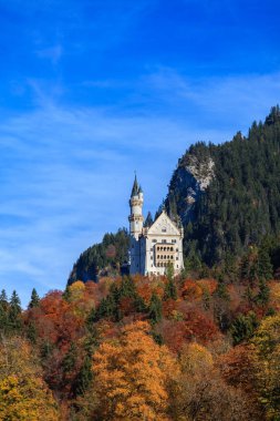 Sonbaharda Neuschwanstein Şatosu 