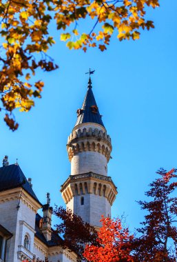 Sonbaharda Neuschwanstein Şatosu 