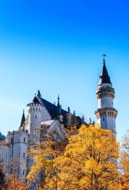 Sonbaharda Neuschwanstein Şatosu 