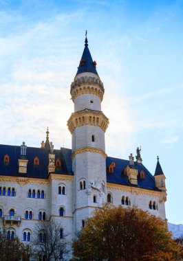 Sonbaharda Neuschwanstein Şatosu 