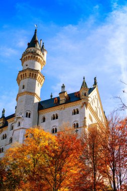 Sonbaharda Neuschwanstein Şatosu 