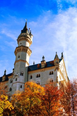 Sonbaharda Neuschwanstein Şatosu 