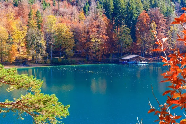 Alpsee lake.Bavaria, Germany — Stock Photo, Image