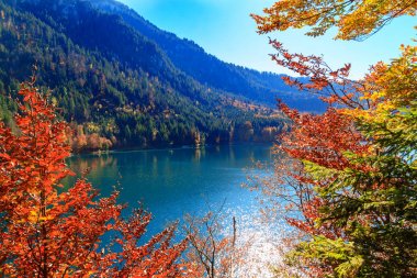 Alpsee Gölü. Bavyera, Almanya