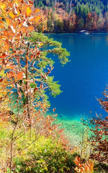 Alpsee lake.bavaria, deutschland — Stockfoto