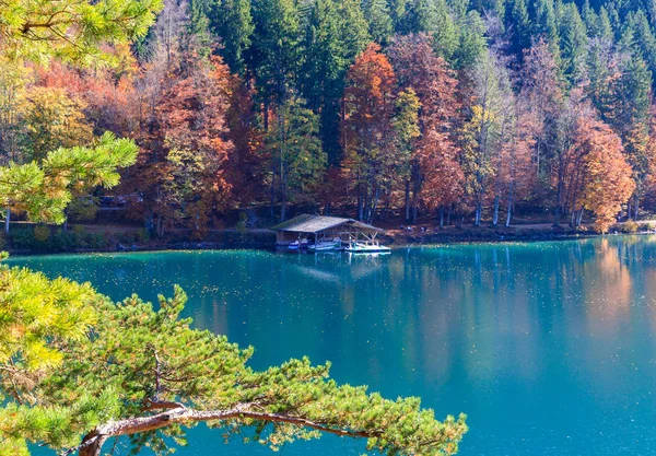 Alpsee lake.bavaria, deutschland — Stockfoto