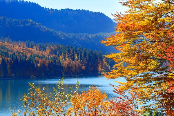 Alpsee lake.bavaria, deutschland — Stockfoto