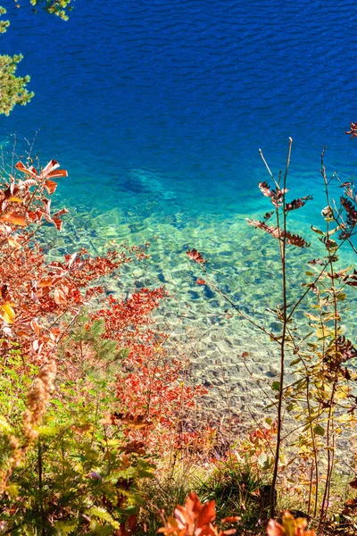 Alpsee lake.bavaria, deutschland — Stockfoto