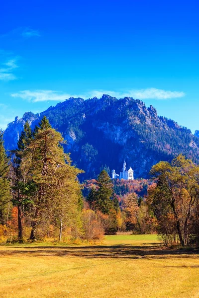 Castelo de Neuschwanstein no outono — Fotografia de Stock