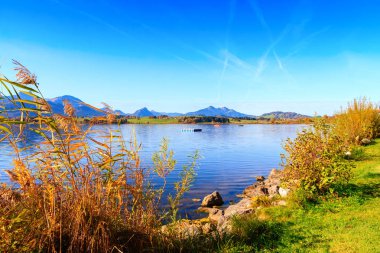 Hopfensee Gölü. Bavyera, Almanya