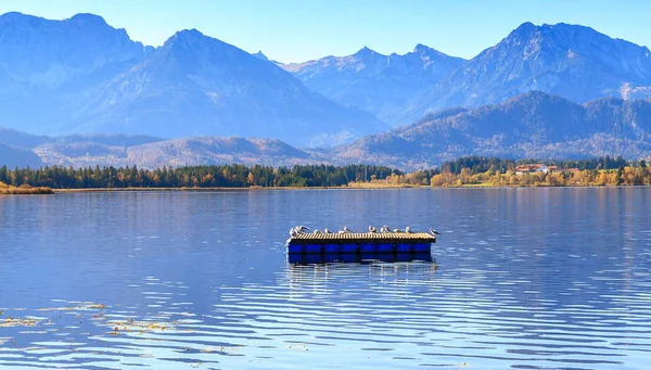 Озера Хопфензее. Баварія, Німеччина — стокове фото
