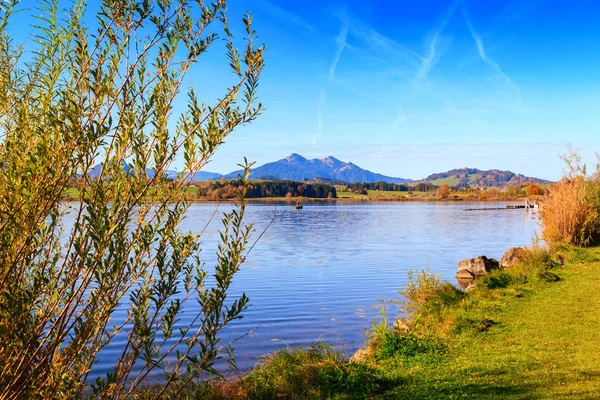 Hopfensee Gölü. Bavyera, Almanya