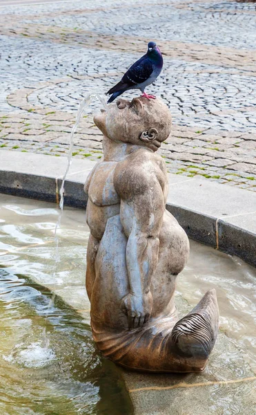 Il cavaliere e il Lago di Costanza — Foto Stock