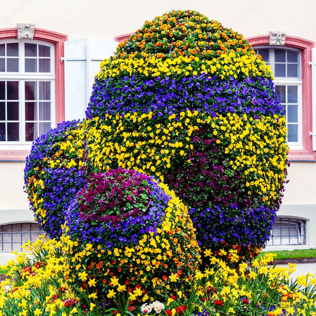 Bedretto wetter | Isla de flores Mainau — Foto de stock © torishaa