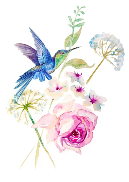 Humming Birds Blooming Flowers — Stock Photo, Image